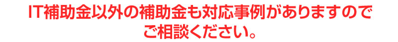 IT補助金以外の補助金も対応事例がありますのでご相談ください。